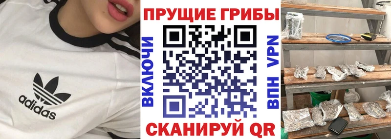 где купить наркоту  blacksprut ТОР  Псилоцибиновые грибы Cubensis  Мурманск 